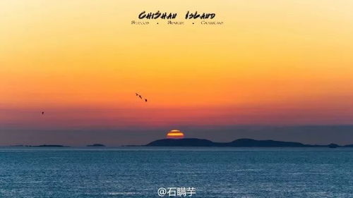 7月19日是什么日子?7月19日,被遗忘的纪念日与不为人知的全球意义 7月19日是什么日子?7月19日,被遗忘的纪念日与不为人知的全球意义