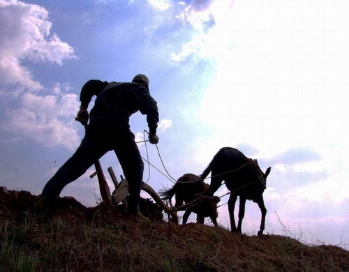 7月19日是什么日子?7月19日,被遗忘的纪念日与不为人知的全球意义 7月19日是什么日子?7月19日,被遗忘的纪念日与不为人知的全球意义