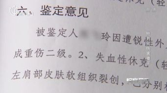 7月19日是什么日子?7月19日,被遗忘的纪念日与不为人知的全球意义 7月19日是什么日子?7月19日,被遗忘的纪念日与不为人知的全球意义