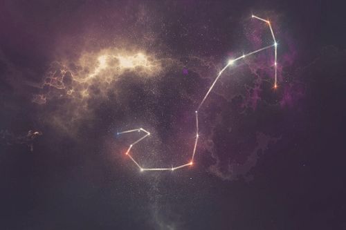 男人为啥都想睡天蝎女:男人为何对天蝎女情有独钟?揭开神秘星座的致命吸引力 男人为啥都想睡天蝎女:男人为何对天蝎女情有独钟?揭开神秘星座的致命吸引力