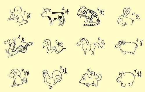 十二生肖婚配最佳配对表:十二生肖婚配最佳配对表,传统智慧与科学视角下的幸福指南 十二生肖婚配最佳配对表:十二生肖婚配最佳配对表,传统智慧与科学视角下的幸福指南