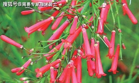 1996年属鼠在2023年的运程:1996年属鼠人2023年运势全解析,吉凶相宜,把握机遇 1996年属鼠在2023年的运程:1996年属鼠人2023年运势全解析,吉凶相宜,把握机遇