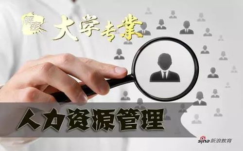 人力资源管理专业就业方向(人力资源管理专业就业方向及前景) 人力资源管理专业就业方向(人力资源管理专业就业方向及前景)