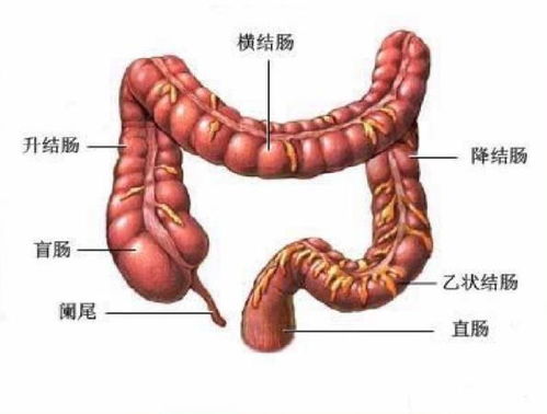 脑膜炎的症状表现:脑膜炎早期信号你察觉了吗?这些症状不容忽视! 脑膜炎的症状表现:脑膜炎早期信号你察觉了吗?这些症状不容忽视!