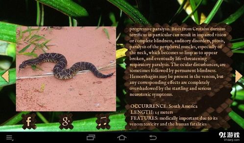 梦见杀蛇:梦境中的蛇影,杀蛇梦的心理学解读与传统文化象征 梦见杀蛇:梦境中的蛇影,杀蛇梦的心理学解读与传统文化象征