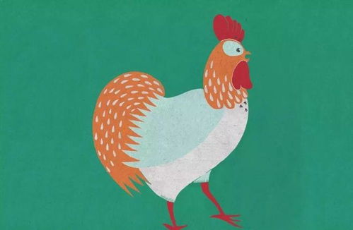 属鸡2019年运势：属鸡2019年运势全解析，吉星高照的机遇与需注意的挑战