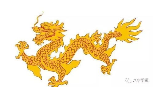 属龙农历冬月结婚吉日:属龙人农历冬月结婚吉日指南,传统与现代的完美结合 属龙农历冬月结婚吉日:属龙人农历冬月结婚吉日指南,传统与现代的完美结合