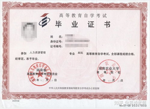 如何自考本科(如何自考本科文凭) 如何自考本科(如何自考本科文凭)