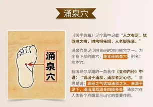 拔罐颜色症状对照表:揭秘拔罐颜色与健康密码,一张图读懂身体状况 拔罐颜色症状对照表:揭秘拔罐颜色与健康密码,一张图读懂身体状况