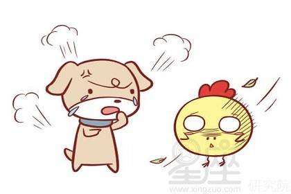 属猪男和女属狗的姻缘:属猪男与属狗女,天生一对,相濡以沫的姻缘 属猪男和女属狗的姻缘:属猪男与属狗女,天生一对,相濡以沫的姻缘