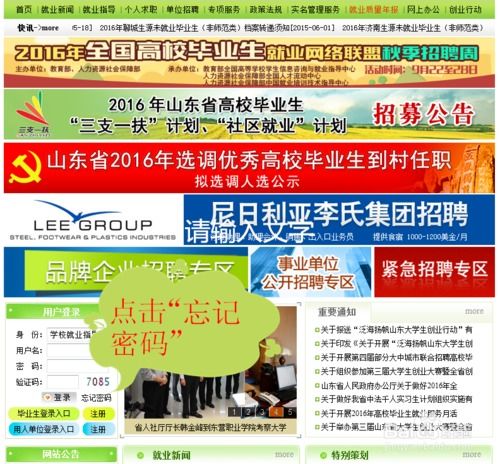 山东省高校毕业生信息就业网(山东省高校毕业生就业官网) 山东省高校毕业生信息就业网(山东省高校毕业生就业官网)