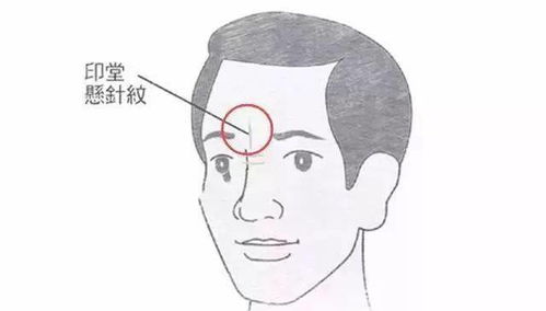 面相测试免费:免费面相测试,解锁你的性格与运势的简易指南 面相测试免费:免费面相测试,解锁你的性格与运势的简易指南