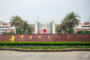 湖北最坑人的四所大学(湖北最好的大学?) 湖北最坑人的四所大学(湖北最好的大学?)