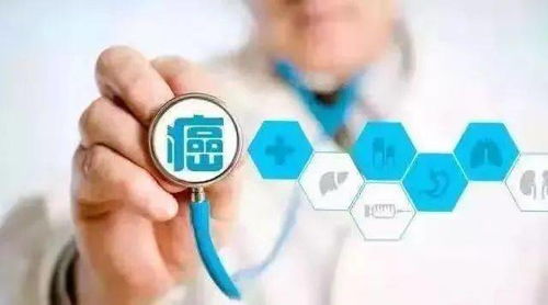 转氨酶高怎么调理:转氨酶高怎么调理?生活方式与饮食调整是关键