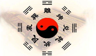 属鸡女几月生是富婆命:属鸡女农历几月出生自带富婆命?老黄历解析7大黄金月份