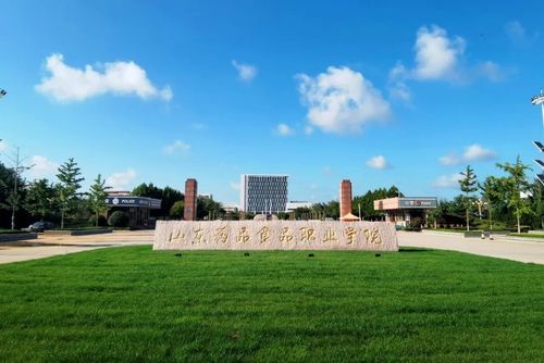 威海职业学院单招(山东职业学院单招2025)