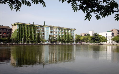 长江大学文理学院(长江大学文理学院是几本)
