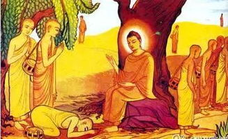 密宗上师和弟子姻缘对应:密宗上师与弟子的禁忌之恋,一场跨越伦理的修行? 密宗上师和弟子姻缘对应:密宗上师与弟子的禁忌之恋,一场跨越伦理的修行?