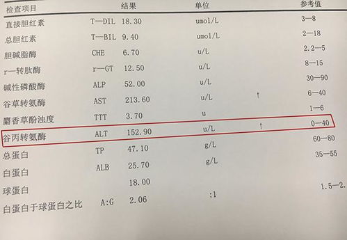 谷丙转氨酶高说明什么:体检发现谷丙转氨酶升高,这些原因和应对措施你必须知道
