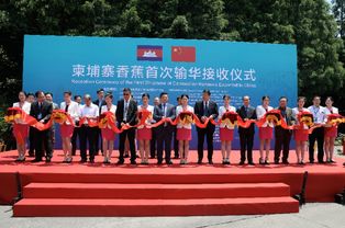 柬埔寨被曝将成为首批在华储存黄金的国家之一,“还有他国在评估”