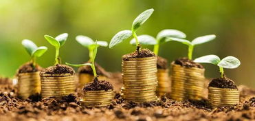 银行绿色金融产品投资价值在哪里?