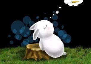 梦见耳屎从耳朵里掉出来一大堆:解密梦境,梦见耳屎从耳朵里掉出来一大堆,这到底预示着什么? 梦见耳屎从耳朵里掉出来一大堆:解密梦境,梦见耳屎从耳朵里掉出来一大堆,这到底预示着什么?