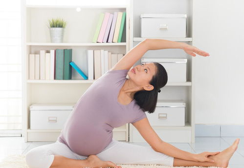 如何照顾怀孕初期的孕妇:温馨指南,如何照顾怀孕初期的孕妇 如何照顾怀孕初期的孕妇:温馨指南,如何照顾怀孕初期的孕妇