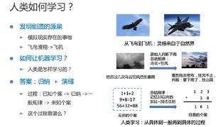 配对:配对的智慧,从自然法则到人类关系的平衡之道 配对:配对的智慧,从自然法则到人类关系的平衡之道