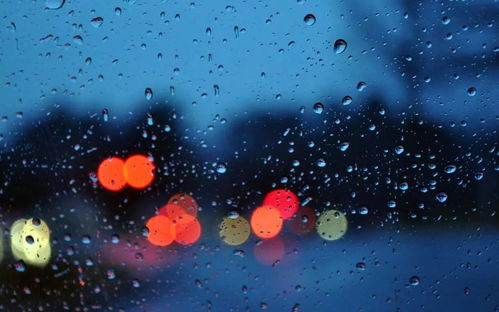 梦见打雷下雨了什么预兆：梦中雷雨，解析梦境预兆与现实启示