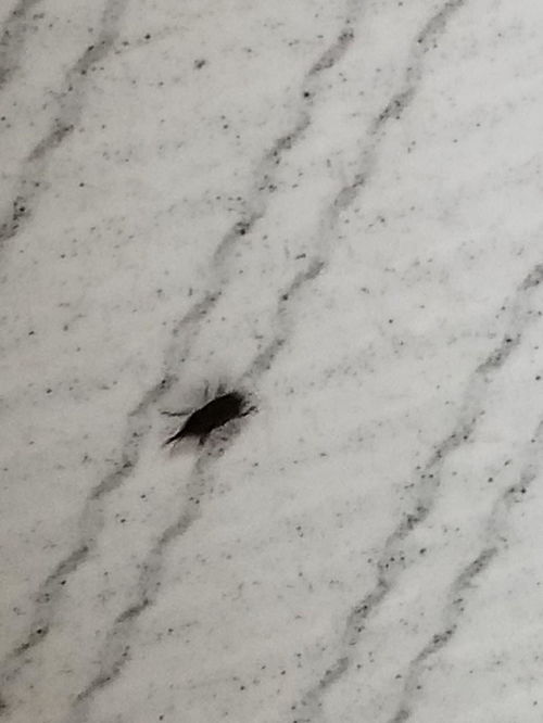 阴囊毛上怎么有小虫子:阴囊毛中的小虫子,真相竟然是这样!