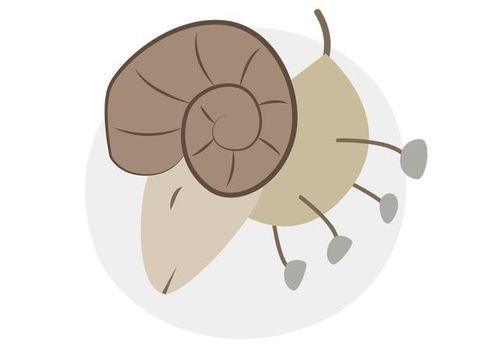 白羊座男生的性格脾气:白羊座男生,像一团跳动的火焰,炽热与锋芒并存 白羊座男生的性格脾气:白羊座男生,像一团跳动的火焰,炽热与锋芒并存