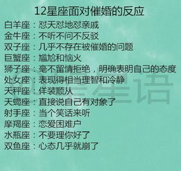 十二星座配对表图：十二星座配对终极指南，科学解读+情感密码的配对表图全解析