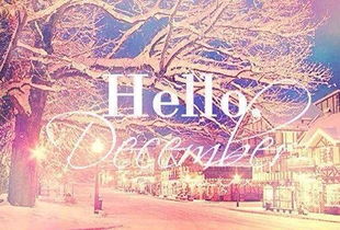 十二月有什么节日：December Celebrations:From Christmas to Winter Solstice and Beyond