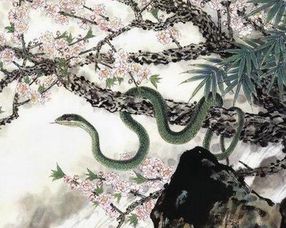 千万别娶属蛇的女人:生肖警示录,属蛇女性的婚姻真相,血泪教训不可忽视