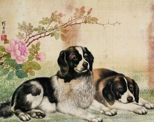 农历几月的狗最有福气:立春后狗年福星高照,农历正二月出生的狗狗为何自带吉祥磁场?