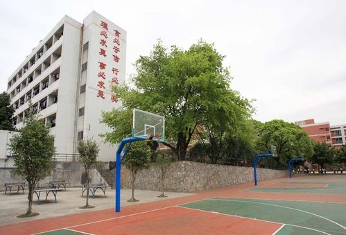 三平祖师公73求姻缘:三平祖师公显灵助姻缘,73岁老翁喜结良缘