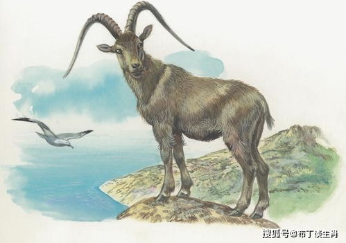 2020属羊下半年姻缘:2020属羊下半年姻缘指南,甜蜜机遇与温馨提醒 2020属羊下半年姻缘:2020属羊下半年姻缘指南,甜蜜机遇与温馨提醒