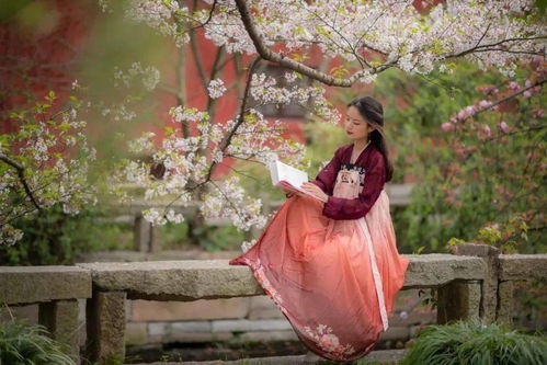 唐诗中最唯美的名字:诗韵千年,唐诗中的唯美名字与风华意象