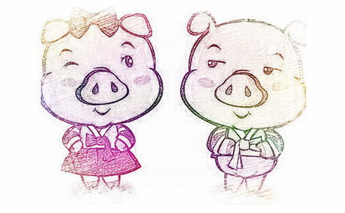 属猪男最佳婚配属相:属猪男最佳婚配属相解析,五行相合+性格互补=幸福婚姻 属猪男最佳婚配属相:属猪男最佳婚配属相解析,五行相合+性格互补=幸福婚姻