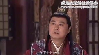 天定姻缘和国语版:天定姻缘,国语版解析 天定姻缘和国语版:天定姻缘,国语版解析