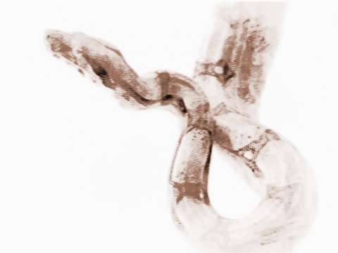 梦见自己被蛇咬出血了是什么征兆:梦见自己被蛇咬出血了是什么征兆? 梦见自己被蛇咬出血了是什么征兆:梦见自己被蛇咬出血了是什么征兆?