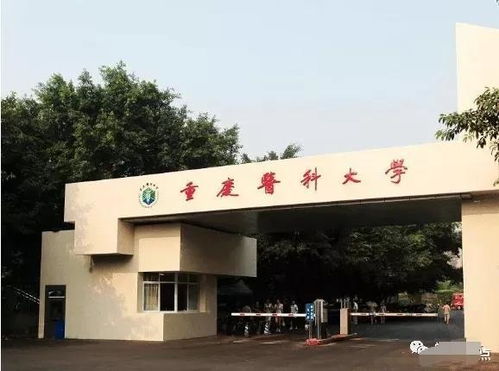 千万别考重庆医科大学（重庆医科大学好考吗?）