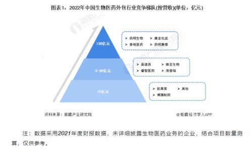 中国医药企业前十强:中国医药企业前十强,格局演变与未来趋势