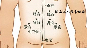 中药根治前列腺:中药调理前列腺,传统智慧与现代健康的结合