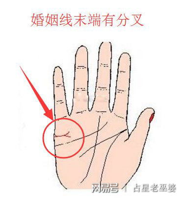 婚姻线分叉20种图解:婚姻线分叉20种图解,手相学中的爱情密码与人生启示