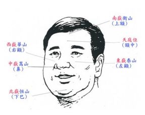 看相识人五官相人术:五官识人,从面相学看性格与命运的传统文化智慧与现代启示 看相识人五官相人术:五官识人,从面相学看性格与命运的传统文化智慧与现代启示