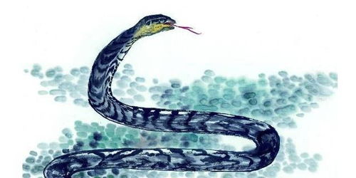 01年属蛇的结婚吉日:2001年属蛇人结婚吉日推荐,天作之合,良辰吉日迎幸福 01年属蛇的结婚吉日:2001年属蛇人结婚吉日推荐,天作之合,良辰吉日迎幸福