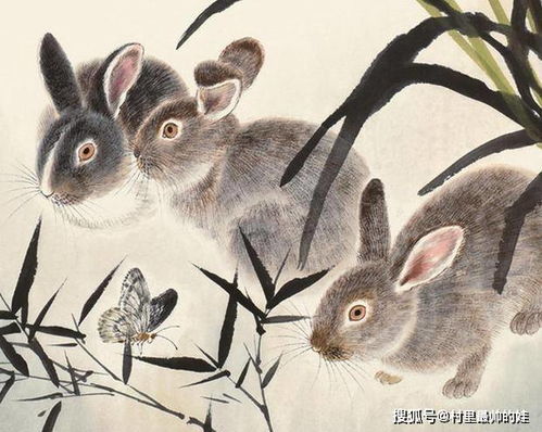 1935年属什么生肖:1935年出生属兔,生肖文化与历史背景解析 1935年属什么生肖:1935年出生属兔,生肖文化与历史背景解析