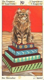 塔罗牌测试你的正缘是谁:塔罗牌测试你的正缘是谁?一探究竟!