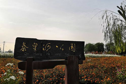 止胃痛的特效药:警惕!这些止胃痛特效药可能暗藏风险